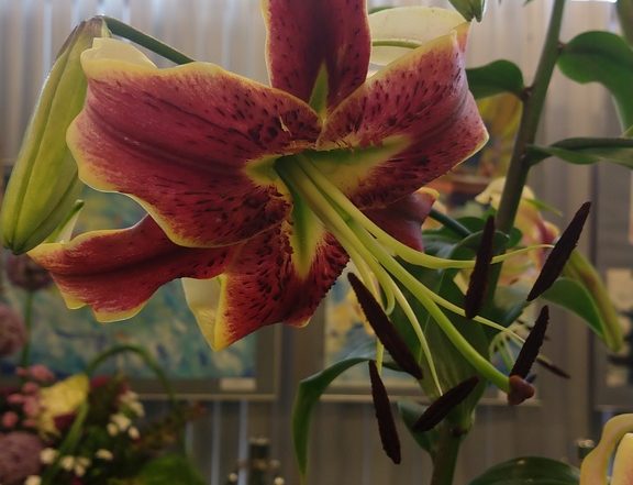 MVIMG 20180714 103444830