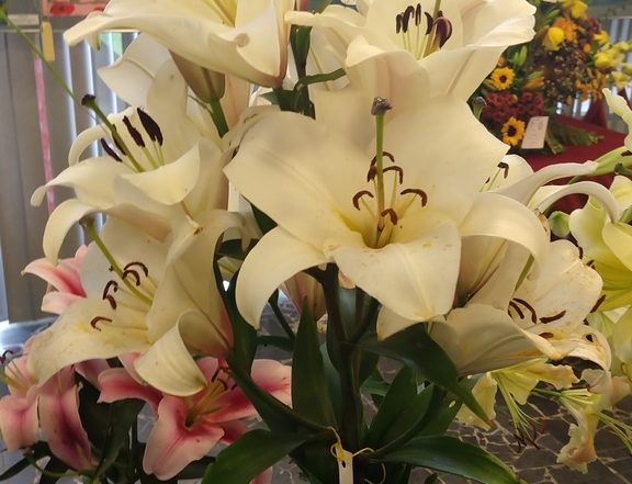 MVIMG 20180714 103535845