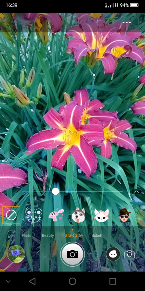 Screenshot 2018 07 16 16 39 16