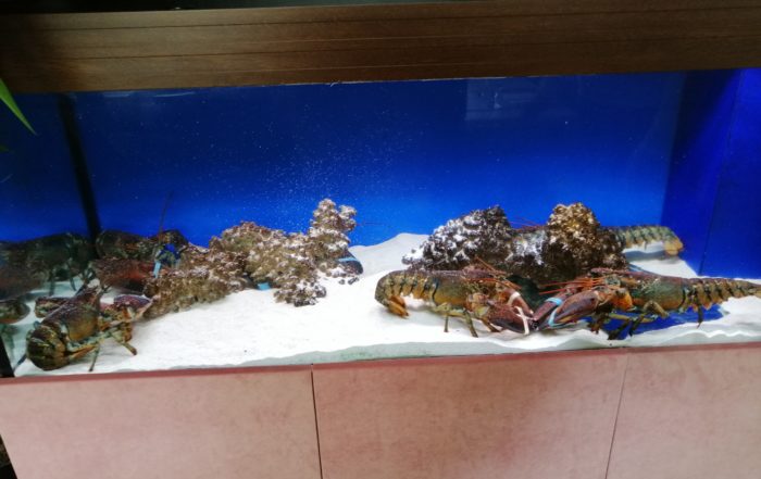 IMG 20180821 111255