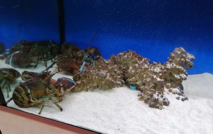 IMG 20180821 111308