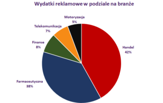 imm wydatki reklamowe