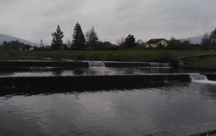 IMG00002
