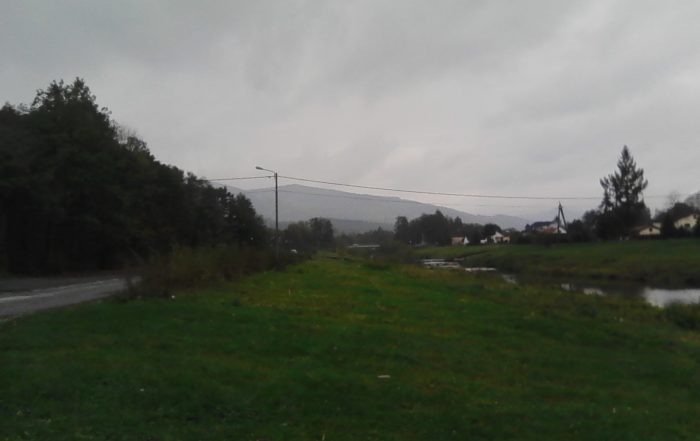 IMG00004