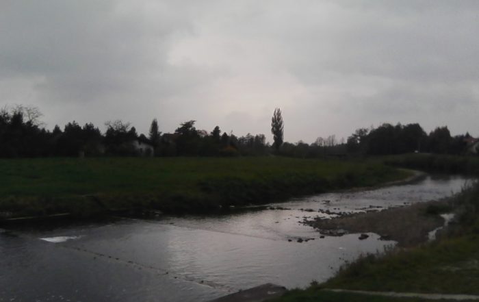 IMG00005