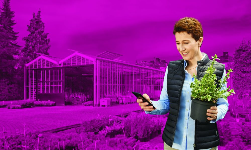 T Mobile Katarzyna Molska Architekt Krajobrazu