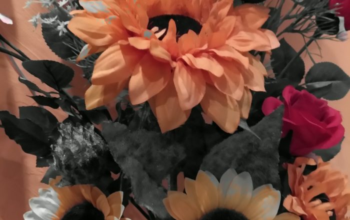IMG 20181123 180704983