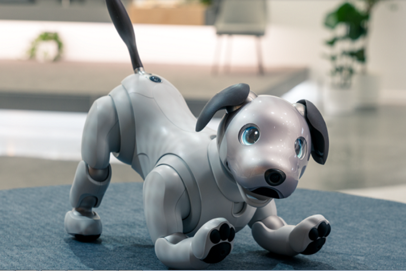 Robota aibo – nowy produkt Sony 1