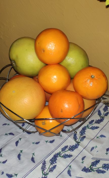IMG 20181121 074918