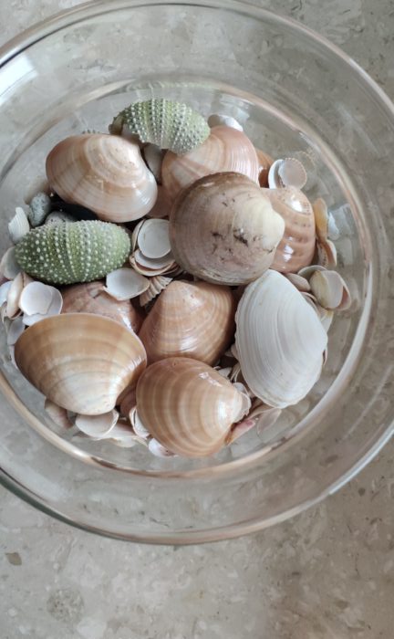 IMG 20181121 075205