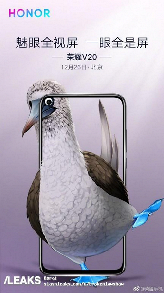 Honor ograła dziurawy ekran smartfona Honor View 20 za pomocą ptaków egzotycznych 2