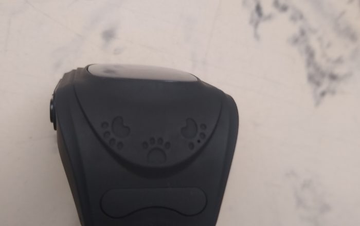 IMG 20181230 124930420