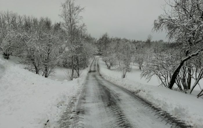 IMG 20190204 084931