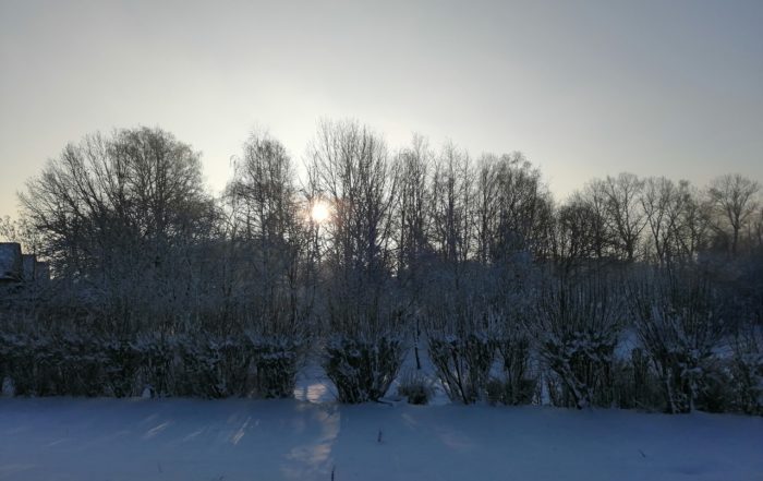IMG 20190205 082353