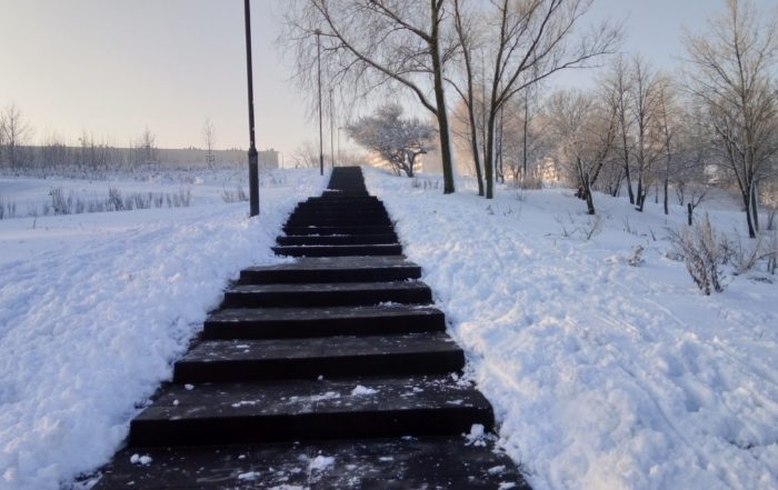 IMG 20190205 083053 HDR