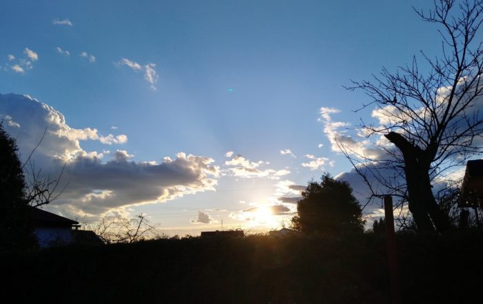 IMG 20190308 170315497 HDR