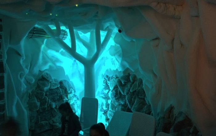 IMG 20190312 085022793