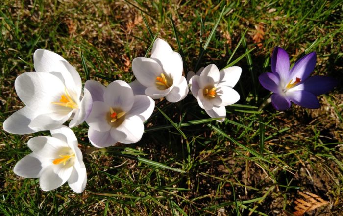 IMG 20190317 104437980