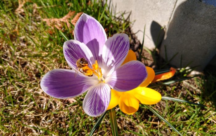 IMG 20190317 104623717 HDR