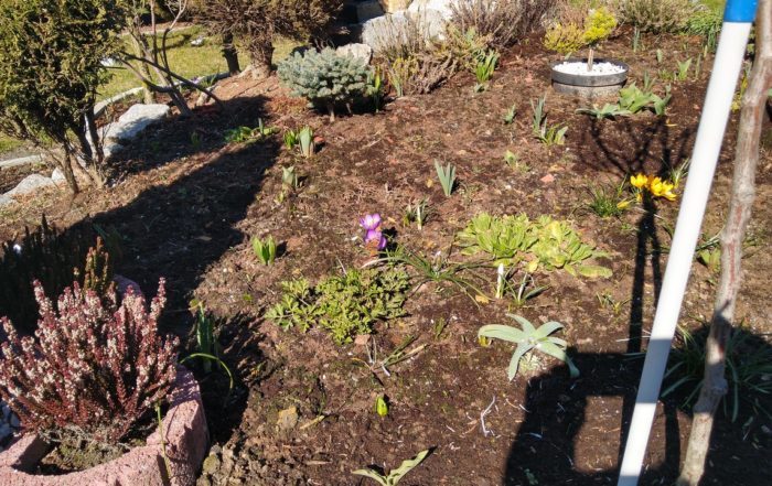 IMG 20190317 104816825 HDR