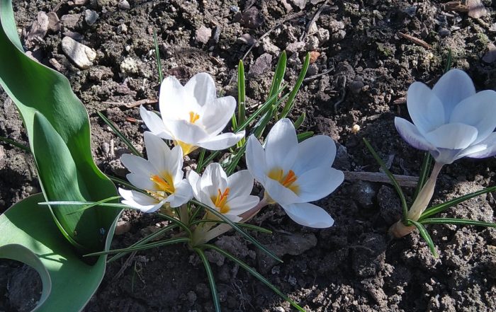 IMG 20190317 104947582 HDR