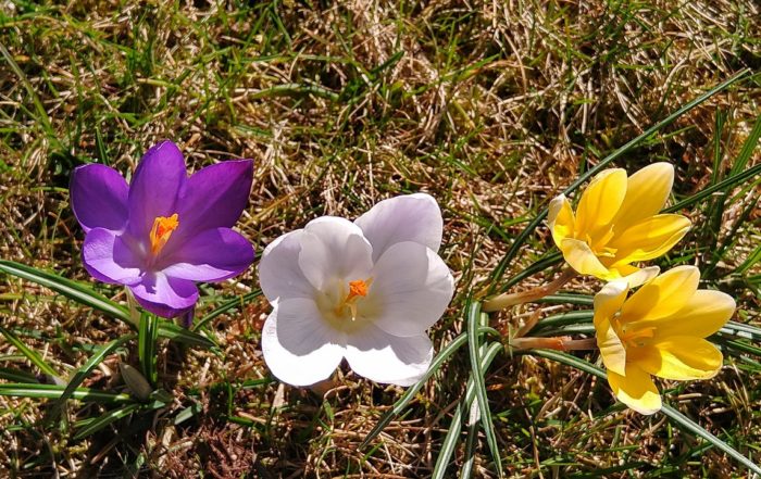 IMG 20190317 105102417 HDR