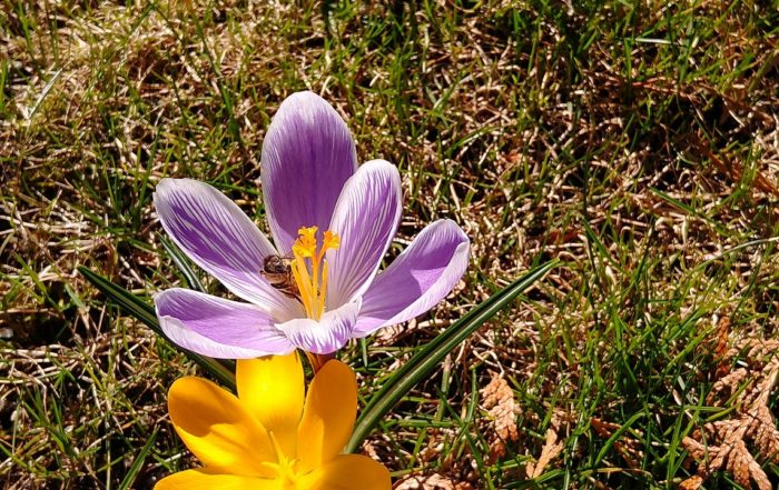 IMG 20190317 105133293