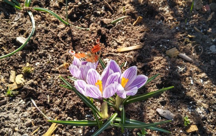 IMG 20190317 105916662 HDR