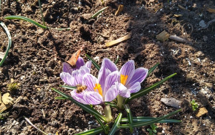 IMG 20190317 105928429 HDR