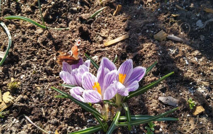 IMG 20190317 105929912 HDR