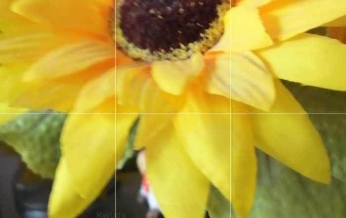 Screenshot 20190302 103429 com.huawei.camera