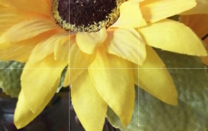 Screenshot 20190302 103435 com.huawei.camera