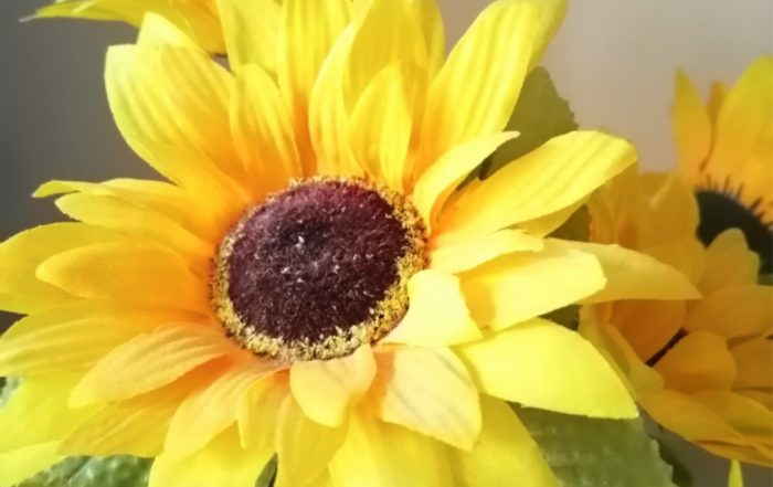 Screenshot 20190302 103500 com.android.gallery3d