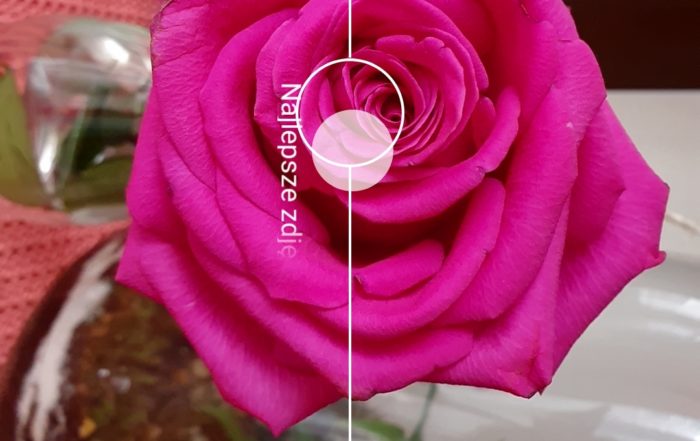 Screenshot 20190317 082714 Camera