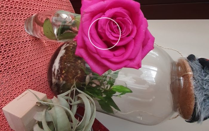 Screenshot 20190317 082734 Camera