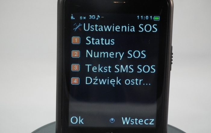 DSCF6533