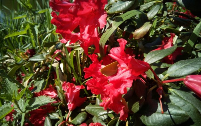IMG 20190501 101413