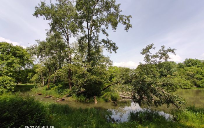 IMG 20190525 123903