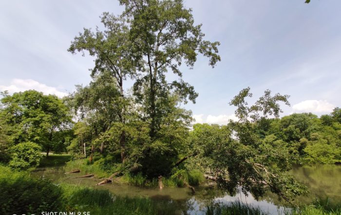 IMG 20190525 123929 1
