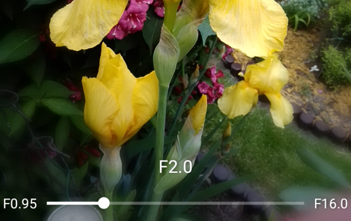 Screenshot 20190601 165140