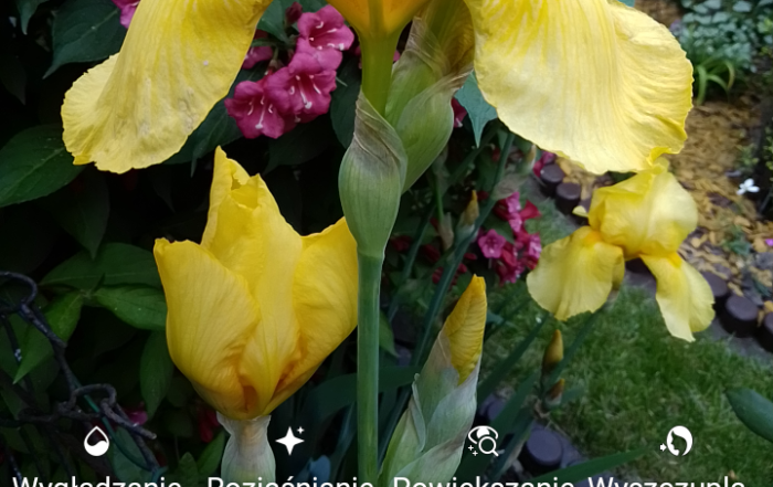 Screenshot 20190601 165303
