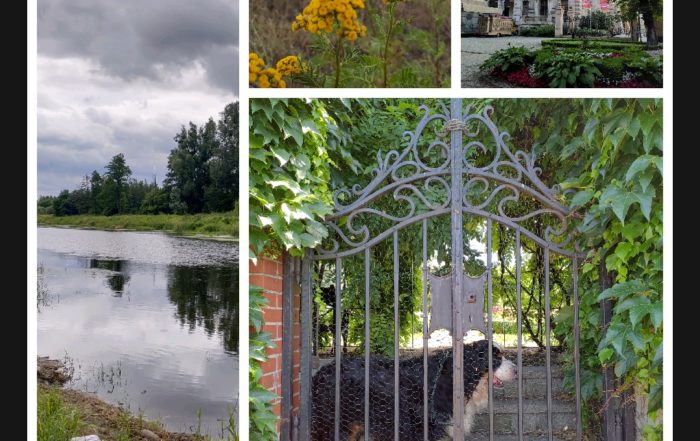 Screenshot 20190709 064522575