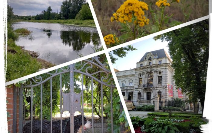 Screenshot 20190709 064620634