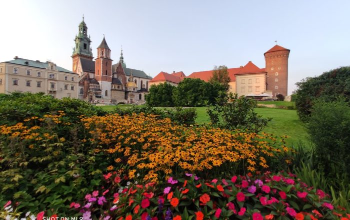 IMG 20190823 190802