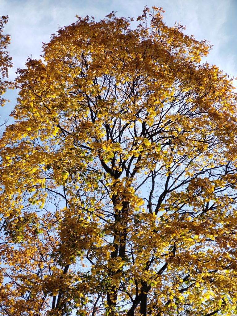 Wymiary Motoroli One Zoom to 75 x 158 x 8,8 mm, a waga 190 g. Telefon nie należy do najmniejszych, ale mimo wszystko dobrze leży w dłoni.