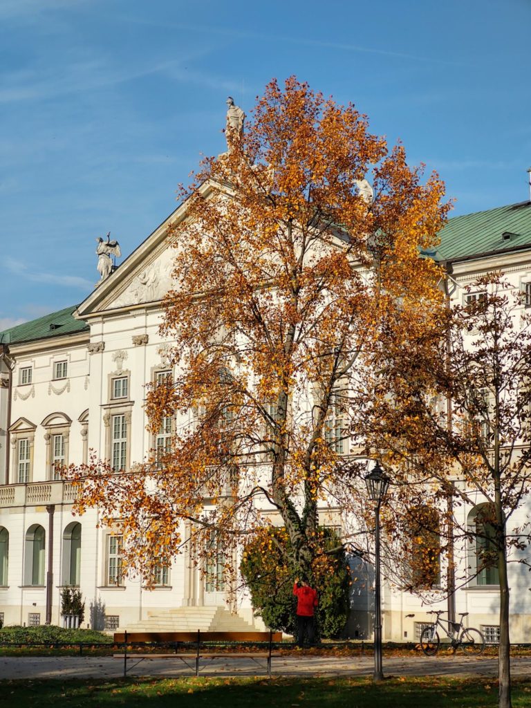 Wymiary Motoroli One Zoom to 75 x 158 x 8,8 mm, a waga 190 g. Telefon nie należy do najmniejszych, ale mimo wszystko dobrze leży w dłoni.