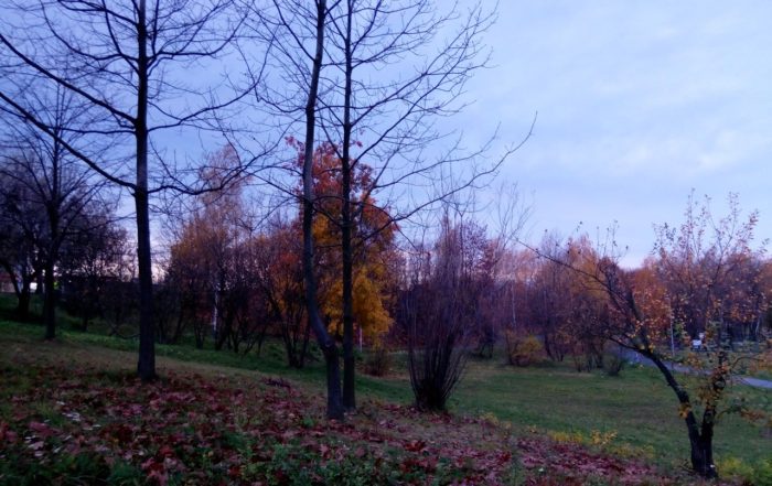 IMG 20191118 073558