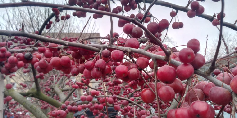 IMG 20191217 134002 7