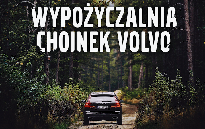 Internauci zdecydowali, gdzie Volvo posadzi las