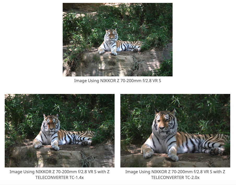 Снимок экрана 2020 07 21 в 10.19.19